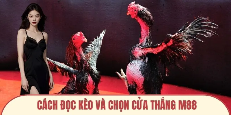 Cách đọc kèo và chọn cửa thắng M88
