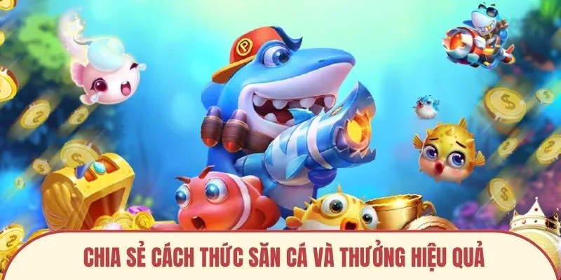 Chia sẻ cách thức săn cá và thưởng hiệu quả