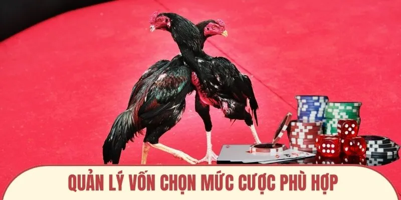 Quản lý vốn chọn mức cược phù hợp
