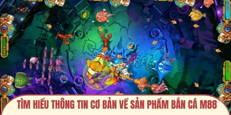 Tìm hiểu thông tin cơ bản về sản phẩm Bắn cá M88